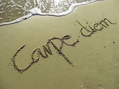 Carpe Diem Barbat na Rabu