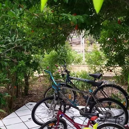 Apartment Carpe Diem Barbat na Rabu